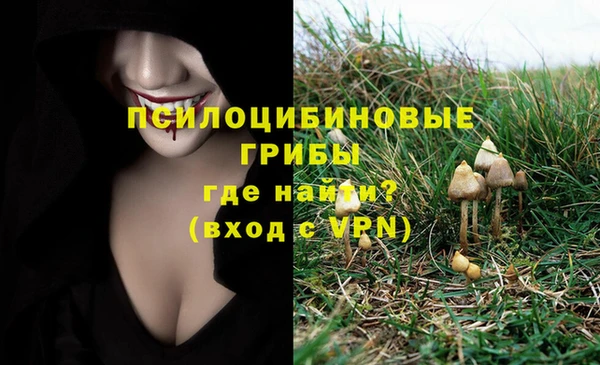 a pvp Краснослободск