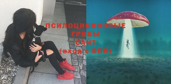 твердый Лагань
