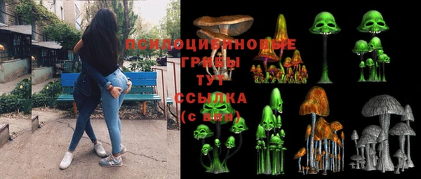 a pvp Краснослободск