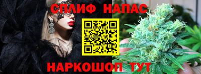 мдпв Кандалакша