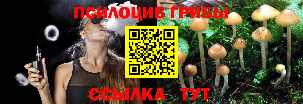 Холмск  Псилоцибиновые грибы Cubensis  Псилоцибиновые грибы прущие грибы  Вход с VPN 